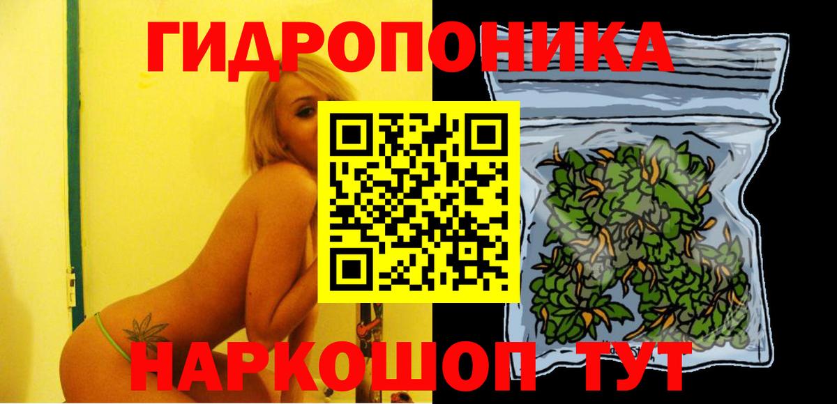 Конопля сатива Ишим
